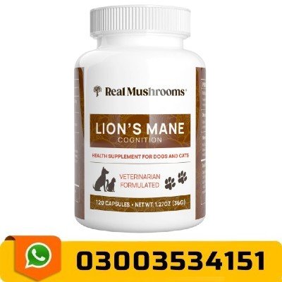Real Mushrooms Lion’s Mane Capsules in Pakistan